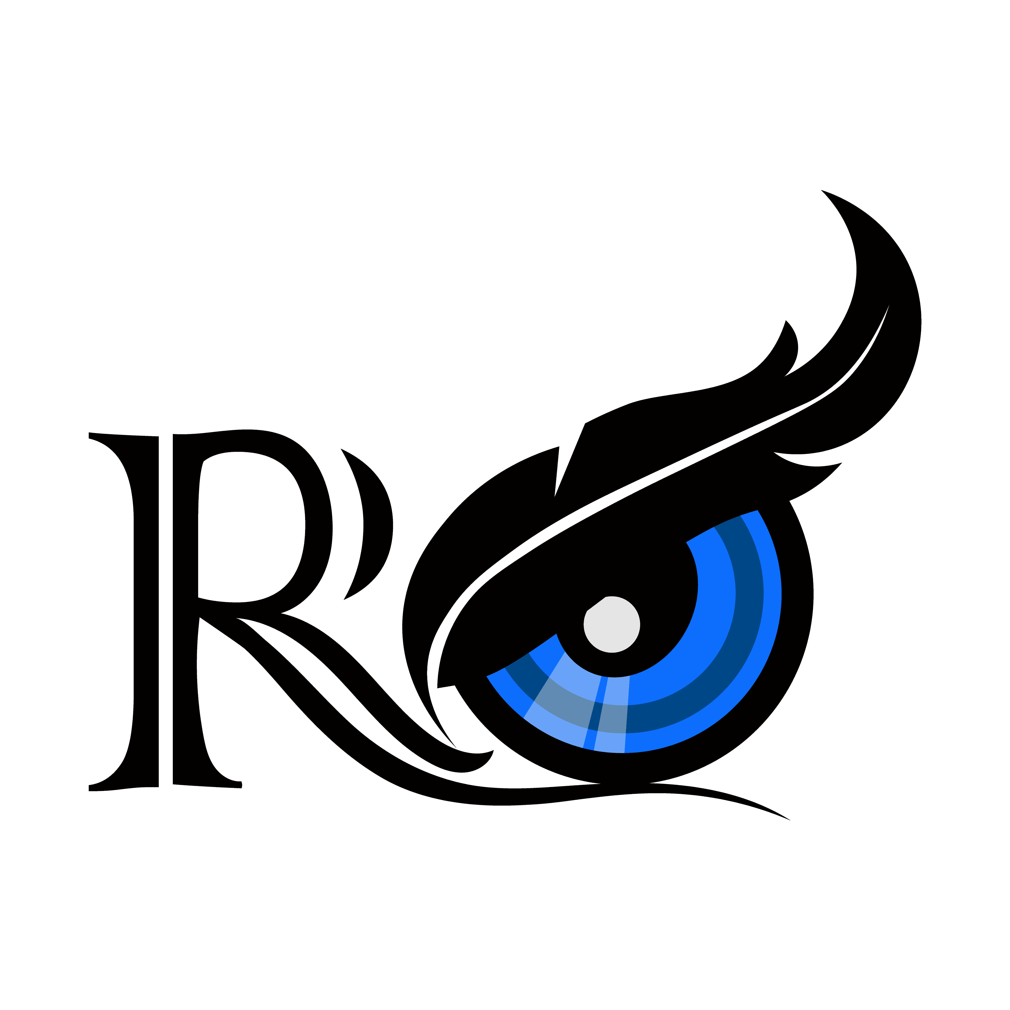 RoxelEye Software Solutions Logo
